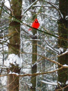 ???????????????????????????