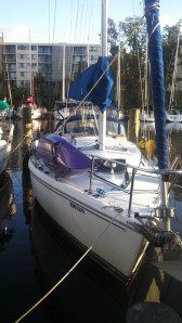 IMG_20131014_081329_085