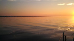 IMG_20131031_073922_197