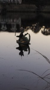 IMG_20131103_064729_375