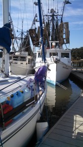 IMG_20131112_135458_476