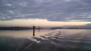 IMG_20131116_065235_650