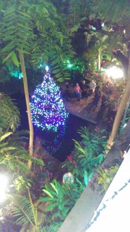 IMG_20131219_213250688