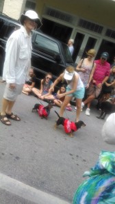 IMG_20131231_122138931