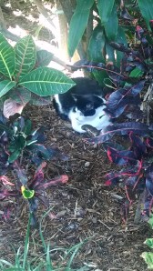 IMG_20140106_132007458