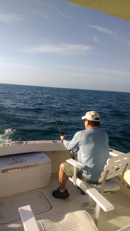 IMG_20140205_082457620