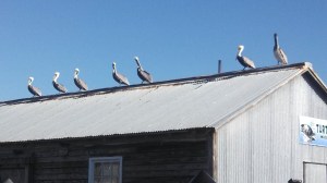 IMG_20131218_152401_897