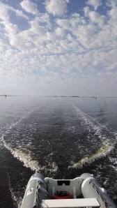 IMG_20140315_093027609