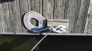 IMG_20140331_173909977