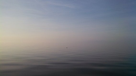 IMG_20131031_081528_628