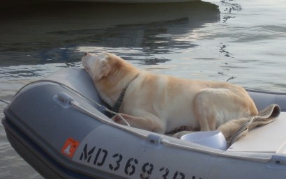 ???????????????????????????