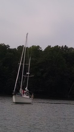 IMG_20140727_101229817