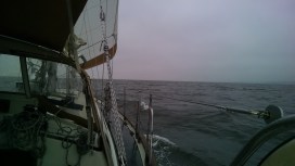 IMG_20141202_154351111