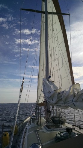 IMG_20141204_141416160