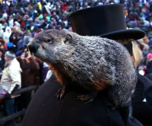 Punxatawney Phil