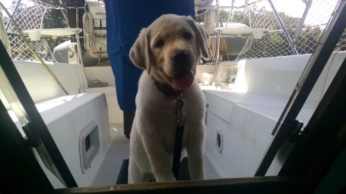 IMG_20150909_123931127