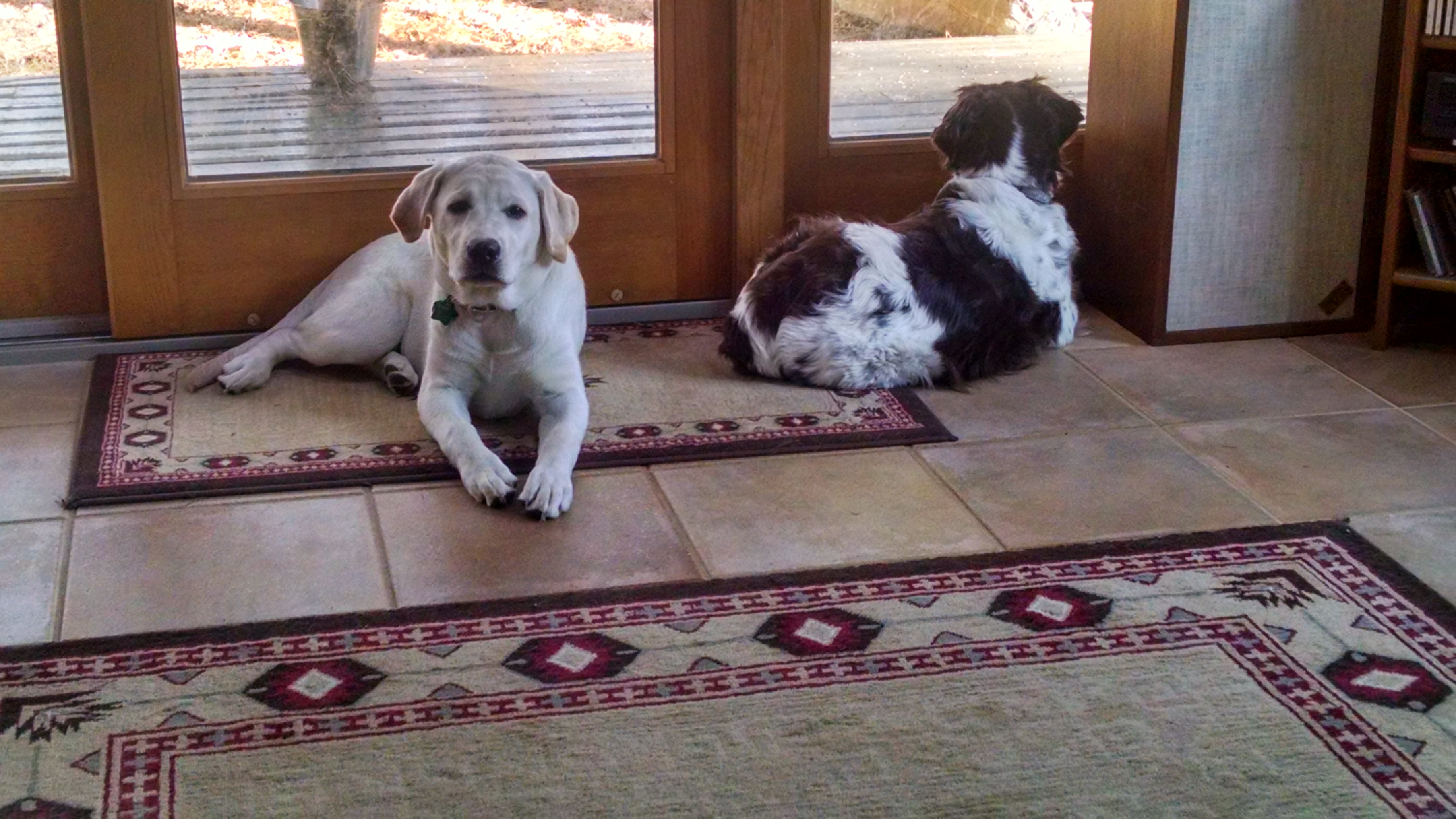 IMG_20151219_091327573_HDR